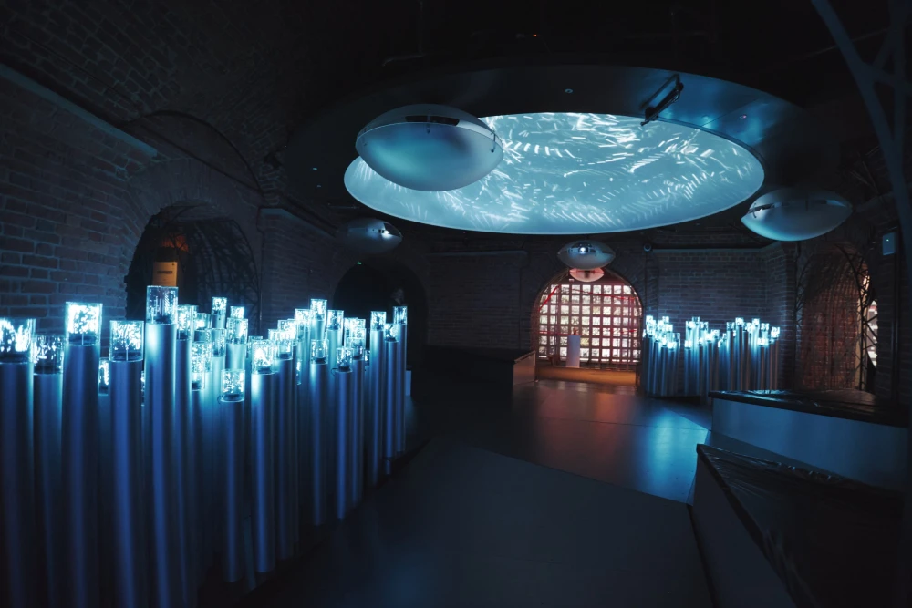 выставки спб фото